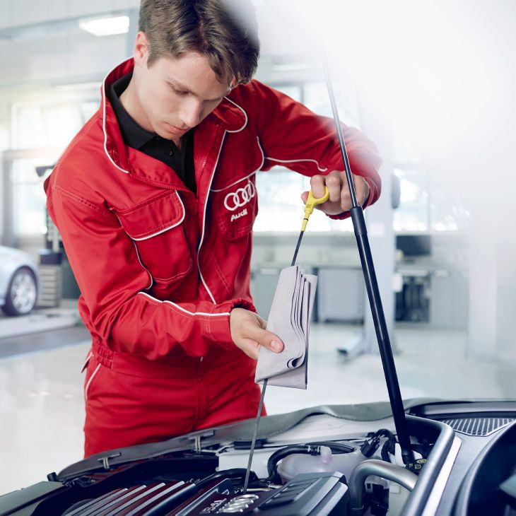 Audi fixed-price servicing